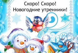 уважаемые родители 26,27 и 28 декабря в МБДОУ "Детский сад "Василек" будут проводиться зимние утренники!